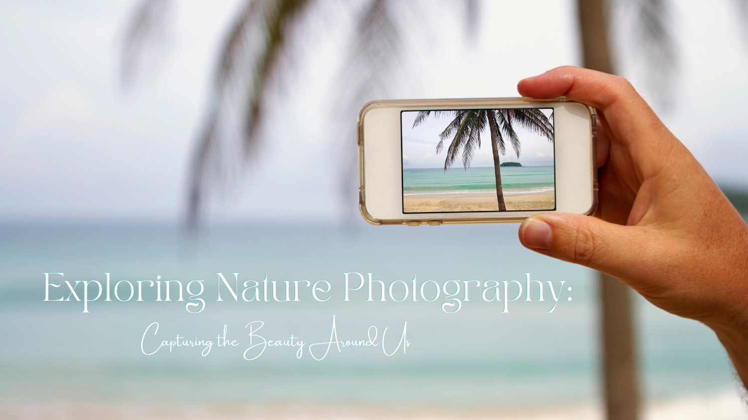 taking a picture with phone camera of ocean and palm tree