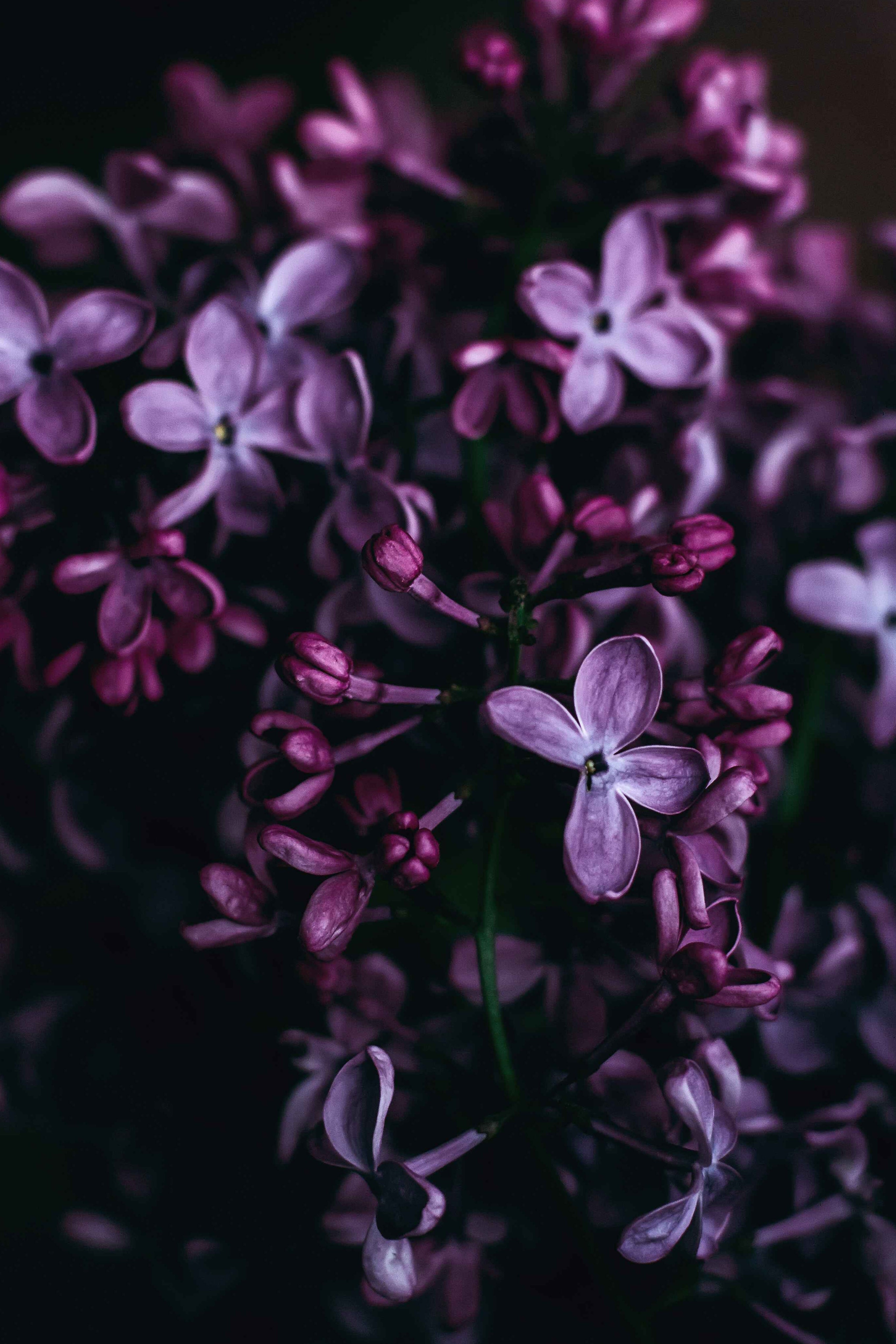 Floral