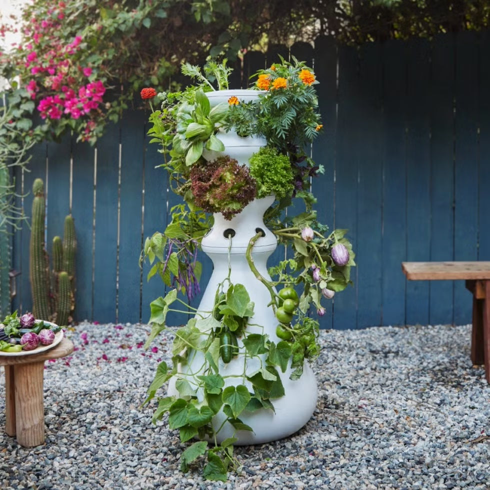 Lettuce Grow: Outdoor Farmstand