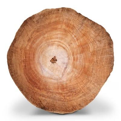 Teakwood