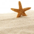 Warm Sand